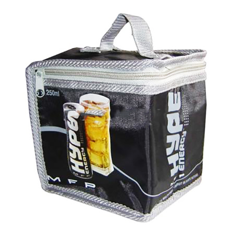 Portable cooler bag