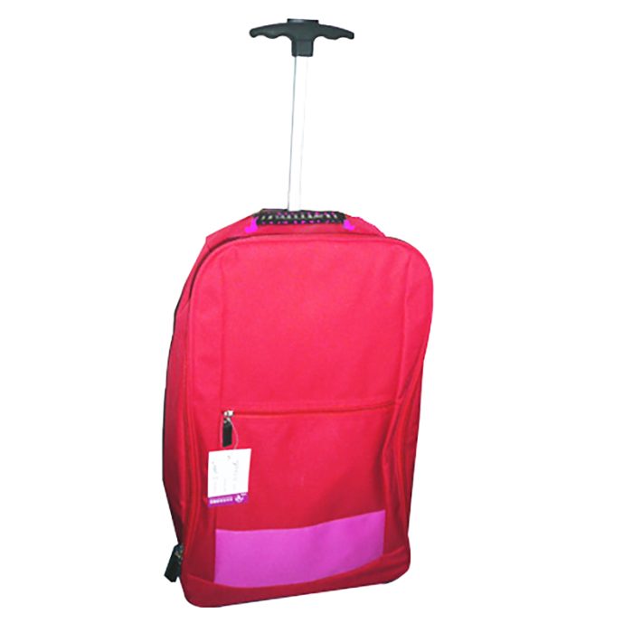 Backpack with telescopic Aluminum handle