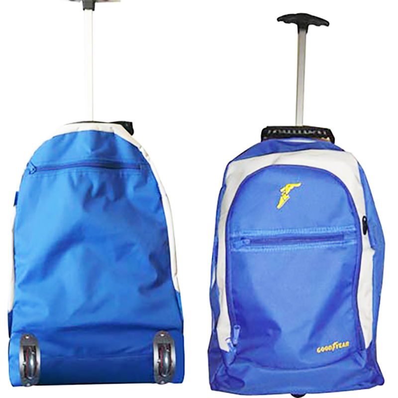 Backpack with telescopic handle